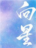 向量的数量积
