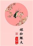 嫁给鳏夫阅读