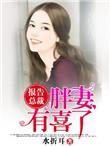 报告总裁胖妻有喜了番外最新章节更新列表