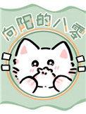 向阳的八零作者杳却