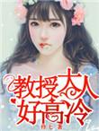 教授大人好高冷txt