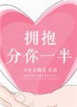 拥抱分你一半讲的什么