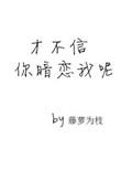 才不信你暗恋我呢评价