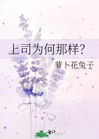 上司为何那样萝卜花兔子免费阅读