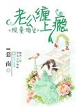 限量婚宠神秘老公坏透了全文免费阅读