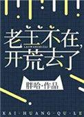 老王不在开荒去了 胖哈