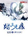 踏天无痕地图设定