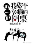 扒一扒我那个丧病的同桌 作者困成熊猫剧透