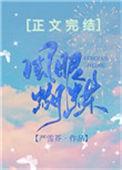 风眼蝴蝶txt附带番外