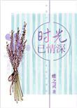 时光已情深免费阅读