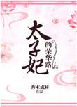 太子妃荣华路txt