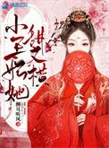 小王妃又被揍了