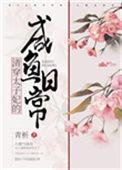清穿太子妃日常