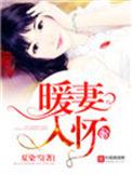 暖妻入怀无弹窗阅读