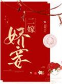 二嫁娇妾结局