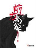 前方高能全文免费阅读
