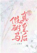假驸马真皇后txt