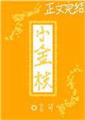 小金枝豫剧团简介