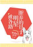 我被各路明星圈养的日子