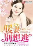 蜜爱百分百总裁追妻路漫漫免费阅读