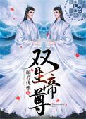 双生帝尊讲的什么