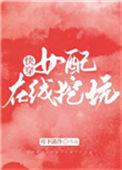 女配在线挖坑[快穿流星网