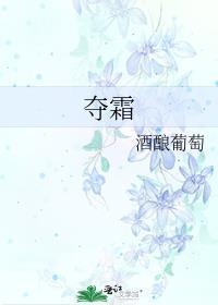 夺霜免费阅读笔趣阁