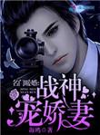 名门暖婚战神宠娇妻(海鸥)