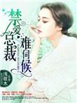 禁爱总裁夜