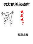 男友他美颜盛世by红刺北完整版
