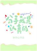 分手我是认真的全文免费阅读
