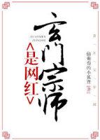 玄门宗师是网红 无盗文