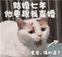 结婚七年了他要和我离婚