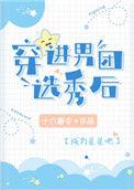 穿进男团选秀后贺沐辞TXT