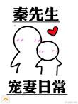 秦先生宠妻日常 无防盗
