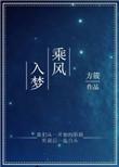 乘风入梦晋江