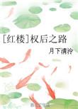 【红楼】权臣之妻
