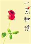 一见钟情[娱乐圈