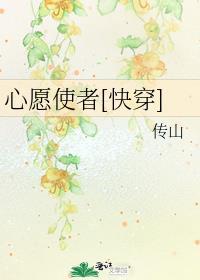 心愿完结版