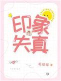 印象失真by毛球球TXT