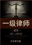 一级律师讲的是什么