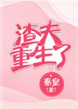 渣夫重生了格格党