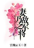妻乃敌军之将好看吗