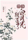 替身白月光是什么意思