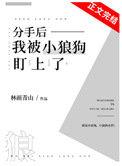 分手后我被小狼狗盯上啦