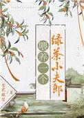 喂养一个绿茶小夫郎星空