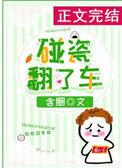 碰瓷翻了车txt百度