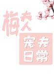 梅夫人宠夫日常女主为什么是妖
