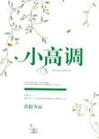 艺人小高