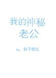 我的神秘老公短剧全集